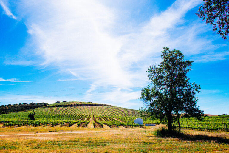 Herdade do Rocim