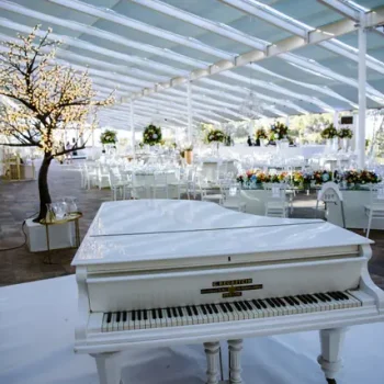 1-1113_6_48471-175267452441878