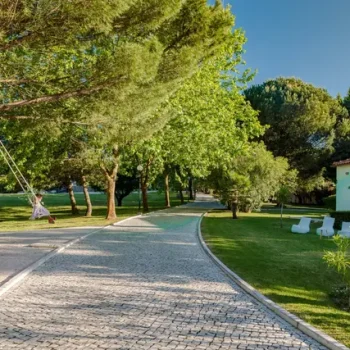 2019-05-04-397_6_120406-1562577933