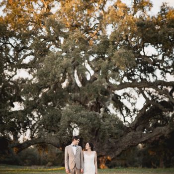 811 (2023-07-31T22_37_30.439) - Guida Silva