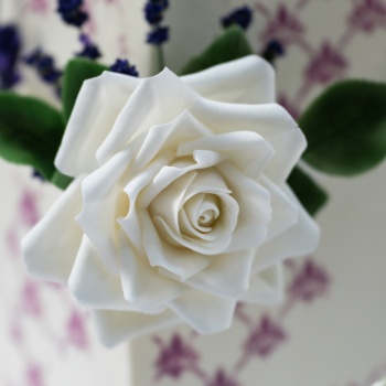 Beenas_5 - Sabrina de Angeli Cavatt