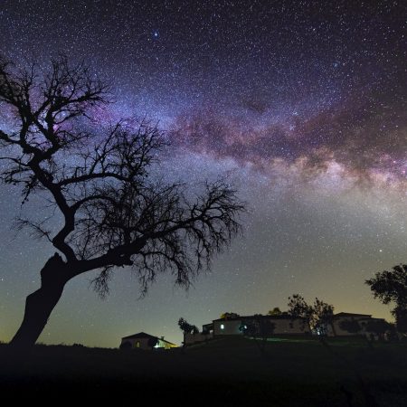 Dark sky - Ângela Mendes