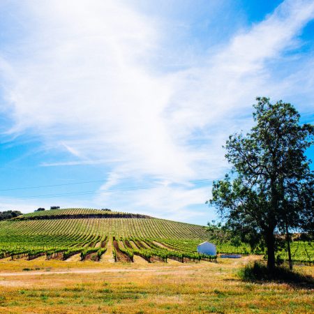 HR_1 (22) - Wine Experiences